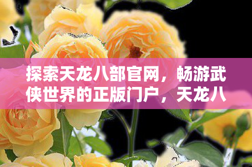 探索天龙八部官网，畅游武侠世界的正版门户，天龙八部官网，畅游武侠世界的正版门户