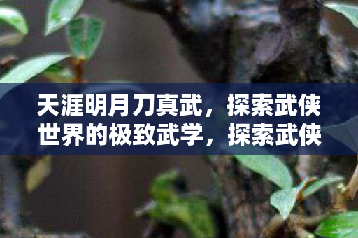 天涯明月刀真武，探索武侠世界的极致武学，探索武侠巅峰，天涯明月刀真武的极致武学