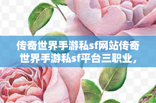 传奇世界手游私sf网站传奇世界手游私sf平台三职业图片