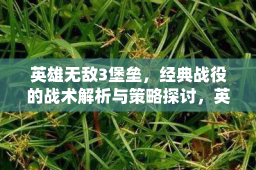 英雄无敌3堡垒，经典战役的战术解析与策略探讨，英雄无敌3堡垒经典战役战术策略解析