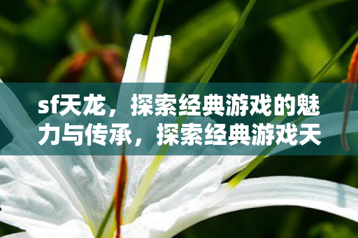 sf天龙，探索经典游戏的魅力与传承，探索经典游戏天龙八部的魅力与传承
