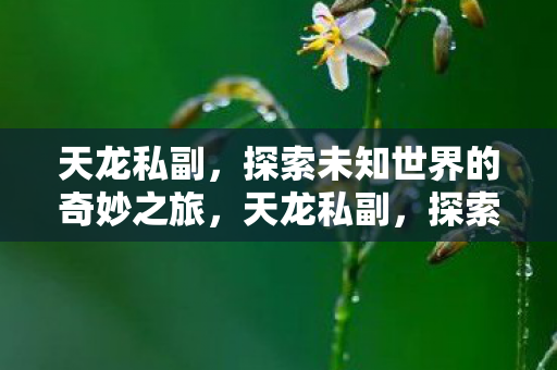探索未知世界的奇妙之旅图片