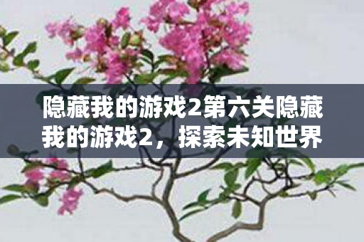 隐藏我的游戏2第六关隐藏我的游戏2，探索未知世界的奇妙之旅，隐藏我的游戏2第六关，探索未知世界的奇妙之旅