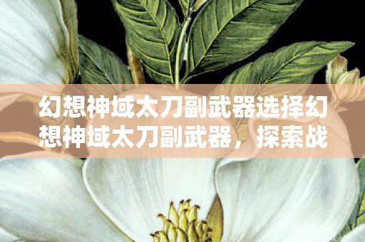 幻想神域太刀副武器选择幻想神域太刀副武器,探索战斗艺术的极致,幻想神域太刀副武器,探索战斗艺术的极致 幻想神域太刀副武器选择幻想神域太刀副武器,探索战斗艺术的极致,幻想神域太刀副武器,探索战斗艺术的极致