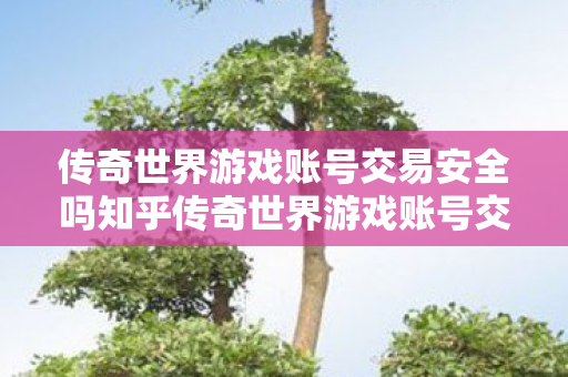 传奇世界游戏账号交易安全吗知乎传奇世界游戏账号交易安全吗图片