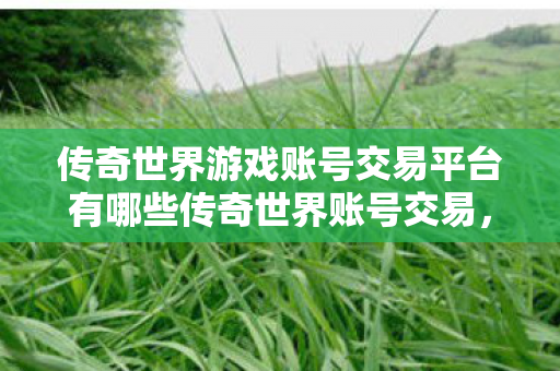 传奇世界游戏账号交易平台有哪些传奇世界账号交易图片