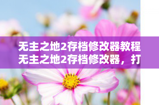 无主之地2存档修改器教程无主之地2存档修改器,打造个性化游戏体验的利器,打造个性化游戏体验,无主之地2存档修改器教程 无主之地2存档修改器教程无主之地2存档修改器,打造个性化游戏体验的利器,打造个性化游戏体验,无主之地2存档修改器教程