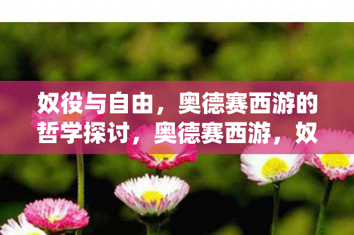 奴役与自由，奥德赛西游的哲学探讨，奥德赛西游，奴役与自由的哲学思辨