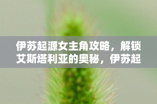 伊苏起源女主角攻略,解锁艾斯塔利亚的奥秘,伊苏起源,解锁艾斯塔利亚的奥秘,女主角攻略全解析 伊苏起源女主角攻略,解锁艾斯塔利亚的奥秘,伊苏起源,解锁艾斯塔利亚的奥秘,女主角攻略全解析