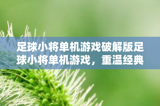 足球小将单机游戏破解版足球小将单机游戏,重温经典,感受足球激情,重温经典足球激情!足球小将单机游戏破解版来袭 足球小将单机游戏破解版足球小将单机游戏,重温经典,感受足球激情,重温经典足球激情!足球小将单机游戏破解版来袭