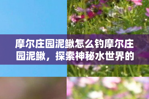 摩尔庄园泥鳅怎么钓摩尔庄园泥鳅，探索神秘水世界的奇妙之旅，摩尔庄园，探索神秘水世界，揭秘泥鳅垂钓之旅