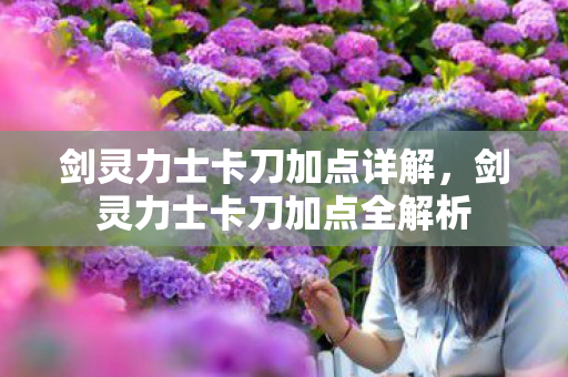 剑灵力士卡刀加点详解,剑灵力士卡刀加点全解析 剑灵力士卡刀加点详解,剑灵力士卡刀加点全解析