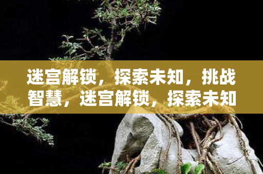 迷宫解锁,探索未知,挑战智慧,迷宫解锁,探索未知,挑战智慧 迷宫解锁,探索未知,挑战智慧,迷宫解锁,探索未知,挑战智慧