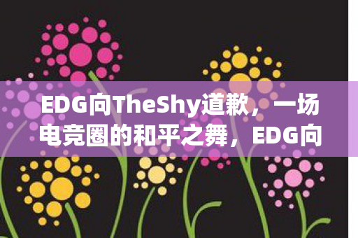 EDG向TheShy道歉，一场电竞圈的和平之舞，EDG向TheShy致歉，电竞圈的和解之舞