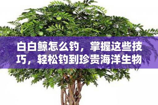 白白鲸怎么钓，掌握这些技巧，轻松钓到珍贵海洋生物，掌握这些技巧，轻松钓到珍贵海洋生物，白白鲸的垂钓指南