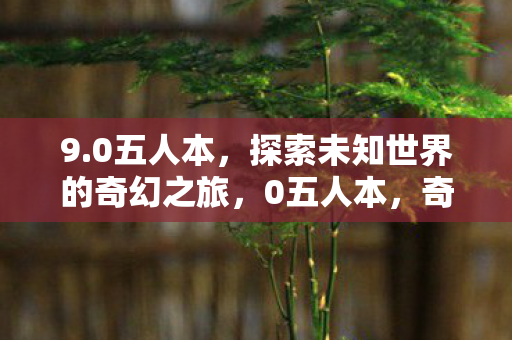 9.0五人本，探索未知世界的奇幻之旅，0五人本，奇幻世界的探险之旅