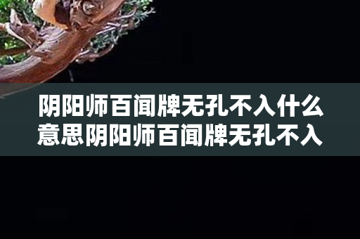 阴阳师百闻牌无孔不入什么意思阴阳师百闻牌无孔不入,深度解析卡牌策略与玩法技巧,阴阳师百闻牌,无孔不入策略解析与玩法技巧 阴阳师百闻牌无孔不入什么意思阴阳师百闻牌无孔不入,深度解析卡牌策略与玩法技巧,阴阳师百闻牌,无孔不入策略解析与玩法技巧