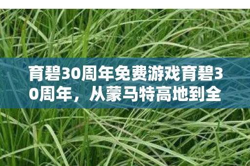 育碧30周年免费游戏育碧30周年,从蒙马特高地到全球娱乐巨头的传奇之旅,育碧30周年,从蒙马特高地到全球娱乐巨头的传奇之旅 育碧30周年免费游戏育碧30周年,从蒙马特高地到全球娱乐巨头的传奇之旅,育碧30周年,从蒙马特高地到全球娱乐巨头的传奇之旅