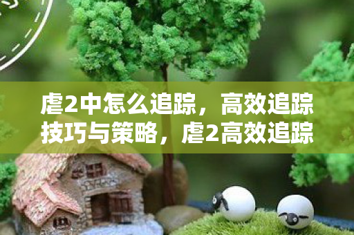 虐2中怎么追踪，高效追踪技巧与策略，虐2高效追踪技巧与策略，助你轻松追踪敌人