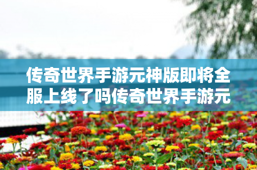 传奇世界手游元神版即将全服上线了吗传奇世界手游元神版即将全服上线图片