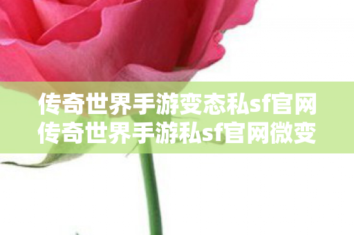 传奇世界手游变态私sf官网传奇世界手游私sf官网微变图片