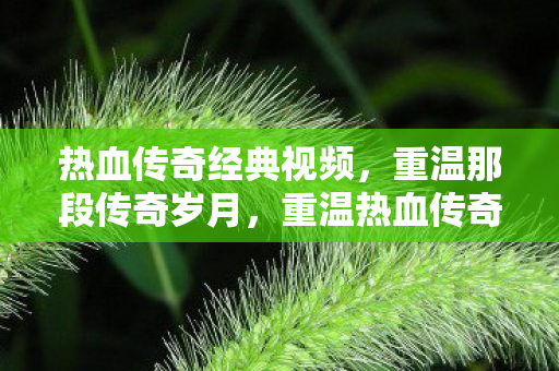 感受传奇岁月的激情与回忆图片
