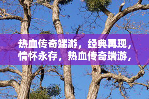 热血传奇端游图片