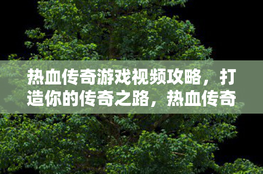 热血传奇游戏视频攻略图片