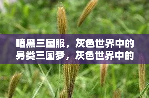 暗黑三国服，灰色世界中的另类三国梦，灰色世界中的另类三国梦，暗黑三国服