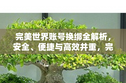 完美世界账号换绑全解析图片
