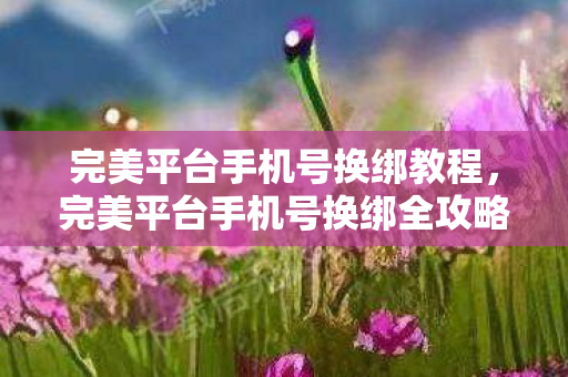 完美平台手机号换绑教程，完美平台手机号换绑全攻略