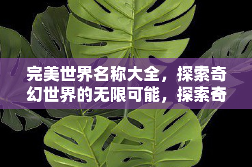 完美世界名称大全，探索奇幻世界的无限可能，探索奇幻世界的无限可能，完美世界名称大全