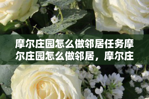 摩尔庄园怎么做邻居任务摩尔庄园怎么做邻居,摩尔庄园,如何完成邻居任务 摩尔庄园怎么做邻居任务摩尔庄园怎么做邻居,摩尔庄园,如何完成邻居任务