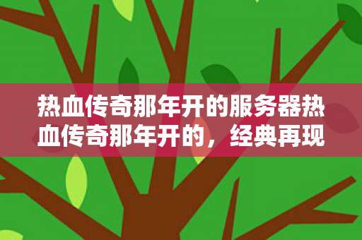 热血传奇那年开的服务器热血传奇那年开的图片