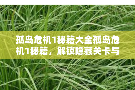 孤岛危机1秘籍大全孤岛危机1秘籍,解锁隐藏关卡与武器,孤岛危机1全秘籍解锁指南,隐藏关卡与武器 孤岛危机1秘籍大全孤岛危机1秘籍,解锁隐藏关卡与武器,孤岛危机1全秘籍解锁指南,隐藏关卡与武器