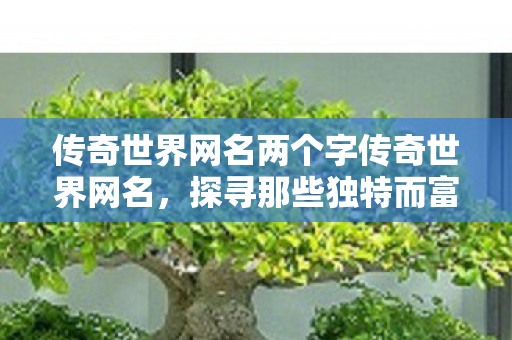 传奇世界网名两个字传奇世界网名,探寻那些独特而富有故事的ID,传奇世界网名,探寻独特而富有故事的ID 传奇世界网名两个字传奇世界网名,探寻那些独特而富有故事的ID,传奇世界网名,探寻独特而富有故事的ID