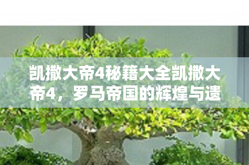 凯撒大帝4秘籍大全凯撒大帝4,罗马帝国的辉煌与遗产,凯撒大帝4秘籍大全,探索罗马帝国的辉煌与遗产 凯撒大帝4秘籍大全凯撒大帝4,罗马帝国的辉煌与遗产,凯撒大帝4秘籍大全,探索罗马帝国的辉煌与遗产