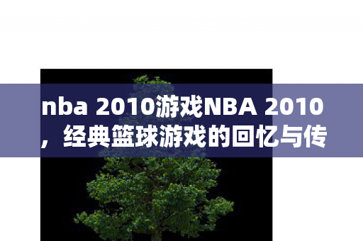 nba 2010游戏NBA 2010，经典篮球游戏的回忆与传承，NBA 2010，经典篮球游戏的回忆与传承