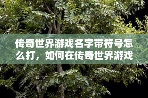 如何在传奇世界游戏中输入带符号的名字图片