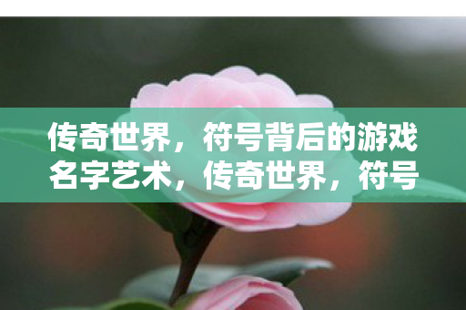 传奇世界,符号背后的游戏名字艺术,传奇世界,符号背后的游戏名字艺术 传奇世界,符号背后的游戏名字艺术,传奇世界,符号背后的游戏名字艺术