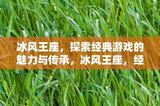 探索经典游戏的魅力与传承图片