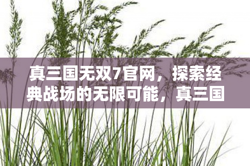 探索经典战场的无限可能图片