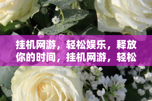 挂机网游，轻松娱乐，释放你的时间，挂机网游，轻松娱乐，解放你的时间