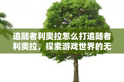 追随者利奥拉怎么打追随者利奥拉，探索游戏世界的无限可能，探索游戏世界，如何击败追随者利奥拉