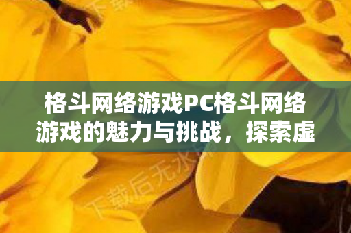 格斗网络游戏PC格斗网络游戏的魅力与挑战图片