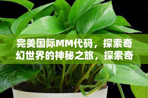 完美国际MM代码，探索奇幻世界的神秘之旅，探索奇幻世界的神秘之旅，完美国际MM代码