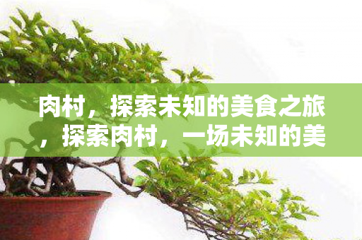 肉村,探索未知的美食之旅,探索肉村,一场未知的美食之旅 肉村,探索未知的美食之旅,探索肉村,一场未知的美食之旅