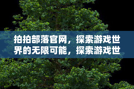 拍拍部落官网，探索游戏世界的无限可能，探索游戏世界的无限可能，拍拍部落官网