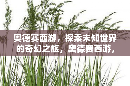 奥德赛西游，探索未知世界的奇幻之旅，奥德赛西游，探索未知世界的奇幻之旅