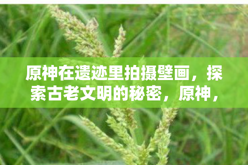 原神在遗迹里拍摄壁画,探索古老文明的秘密,原神,探索遗迹壁画,揭秘古老文明之谜 原神在遗迹里拍摄壁画,探索古老文明的秘密,原神,探索遗迹壁画,揭秘古老文明之谜